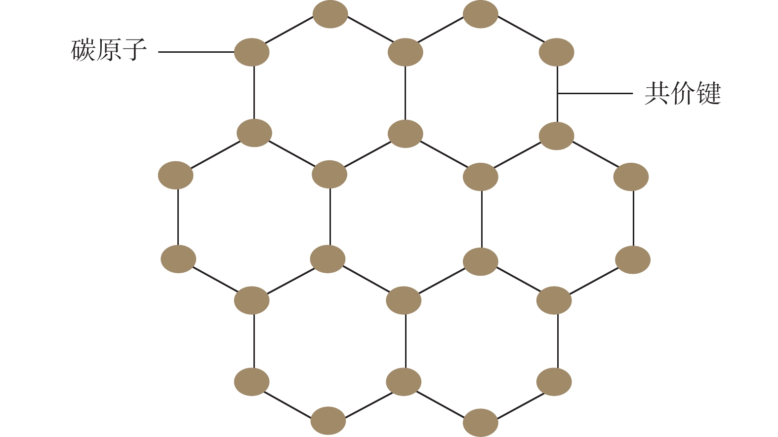 图 1         单层石墨烯晶格结构示意