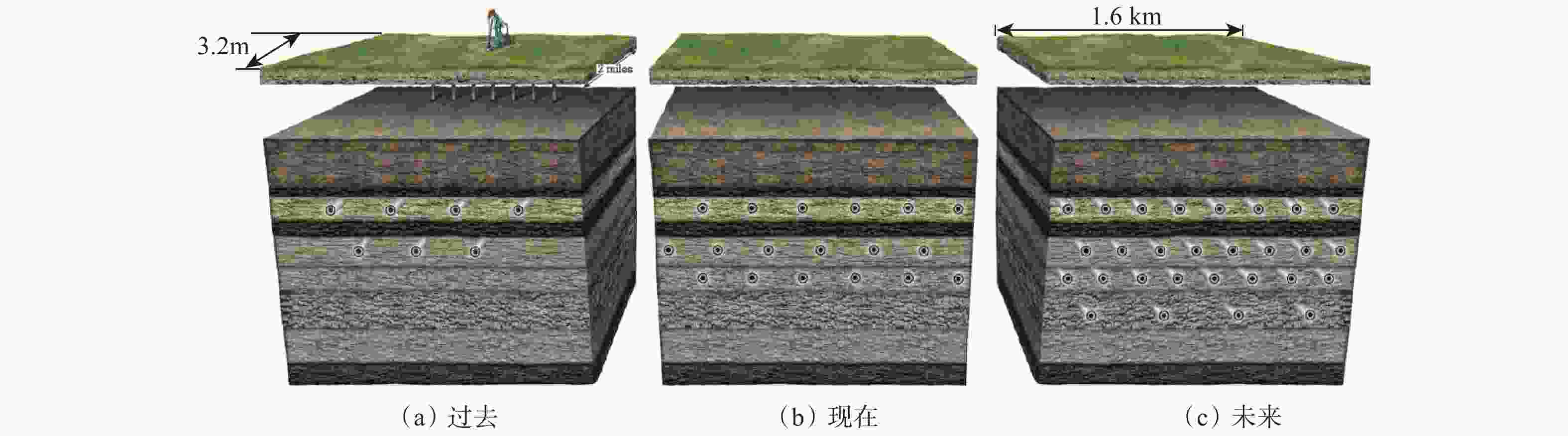 图                     页岩油丛式水平井